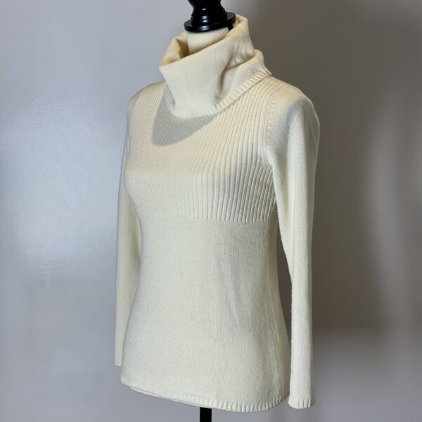 Banana Republic Luxury Cashmere Blend Turtleneck